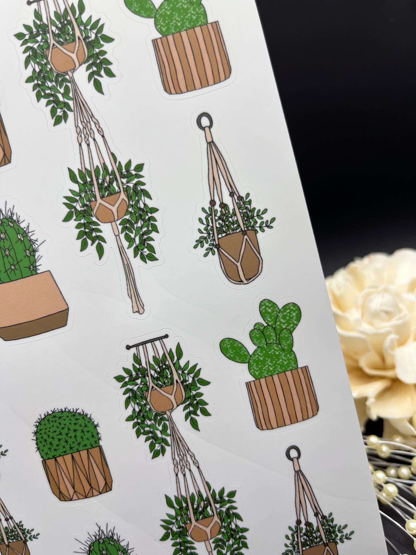 Succulents