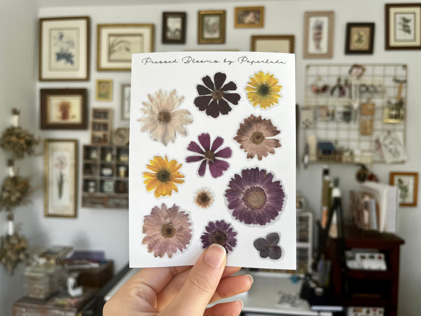 Spring Blooms