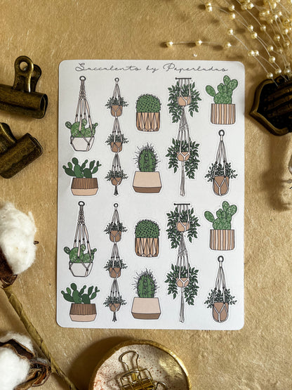 Succulents