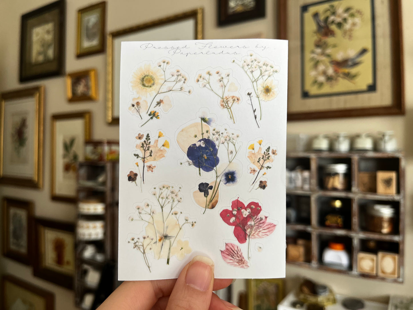 Pressed Flower Collages