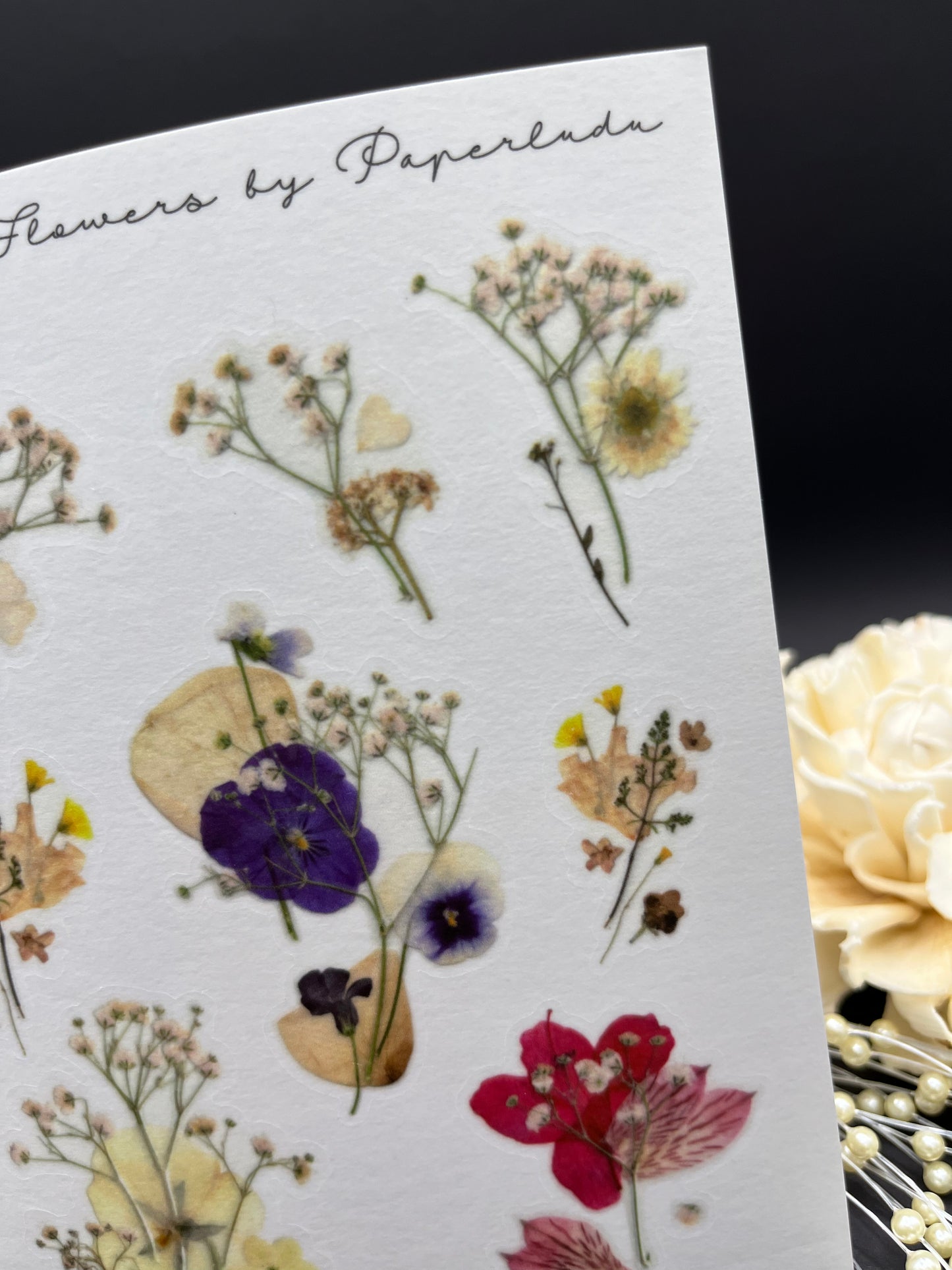 Pressed Flower Collages