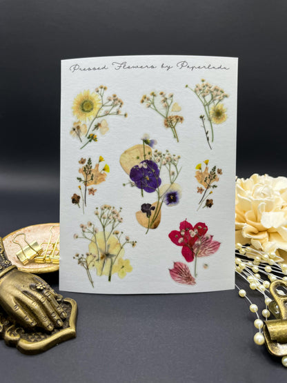 Pressed Flower Collages