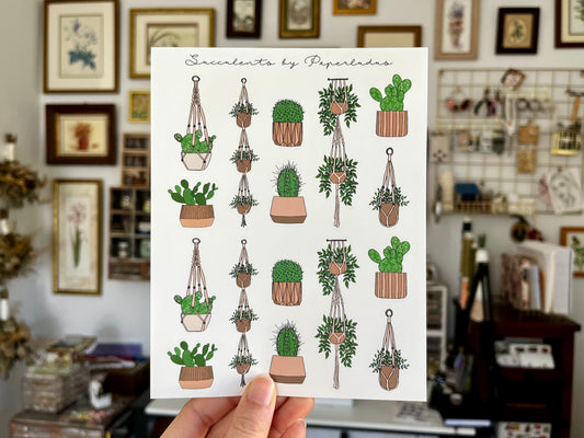 Succulents