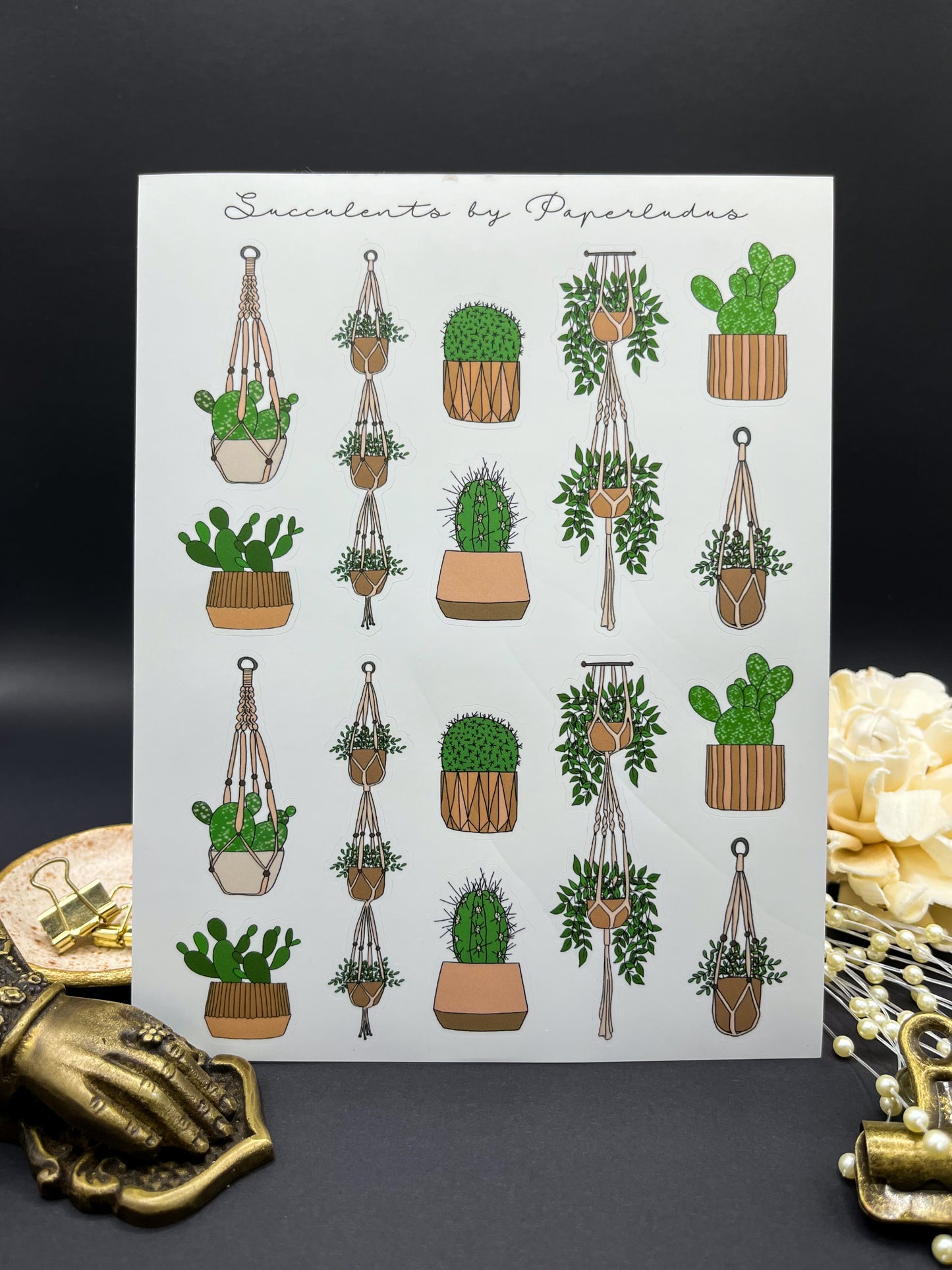 Succulents