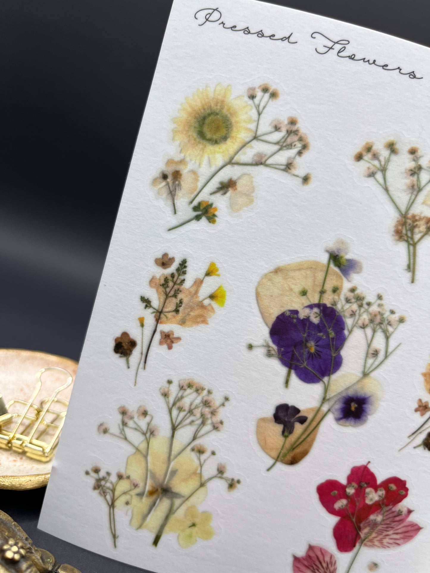 Pressed Flower Collages