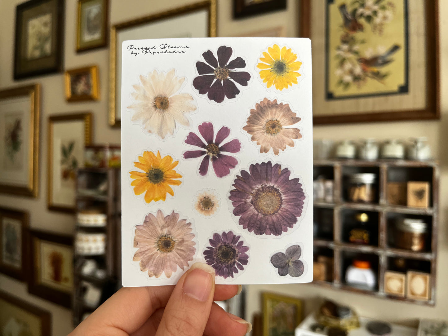 Spring Blooms